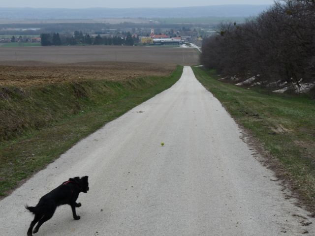 A képhez tartozó alt jellemző üres; 20241018_101325.jpg a fájlnév