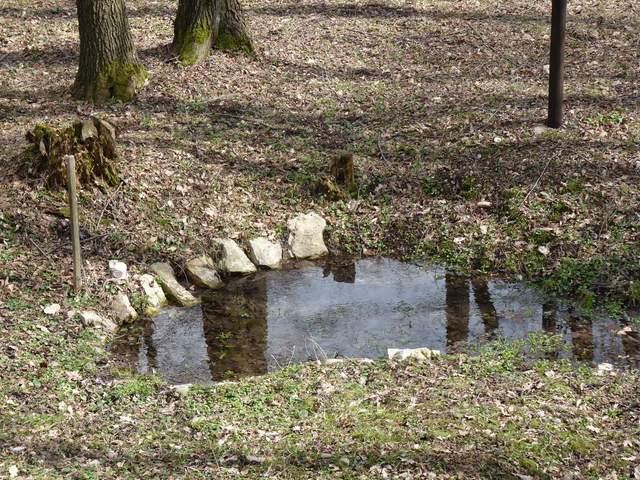 A képhez tartozó alt jellemző üres; 20241018_101325.jpg a fájlnév