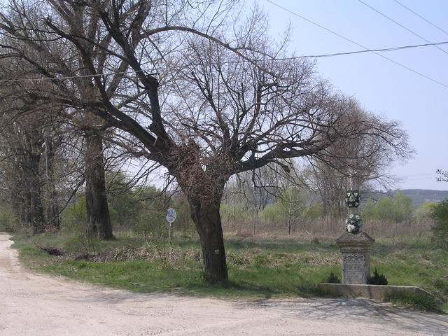A képhez tartozó alt jellemző üres; 20241018_101325.jpg a fájlnév