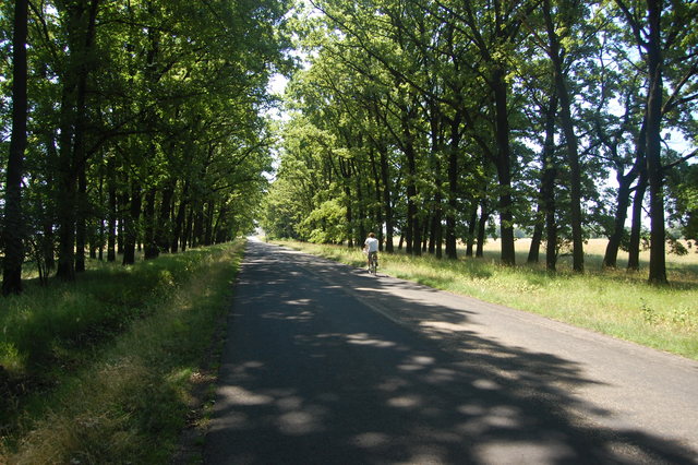 A képhez tartozó alt jellemző üres; 20241018_101325.jpg a fájlnév