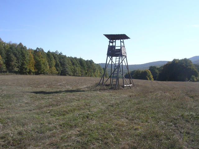 A képhez tartozó alt jellemző üres; 20241018_101325.jpg a fájlnév