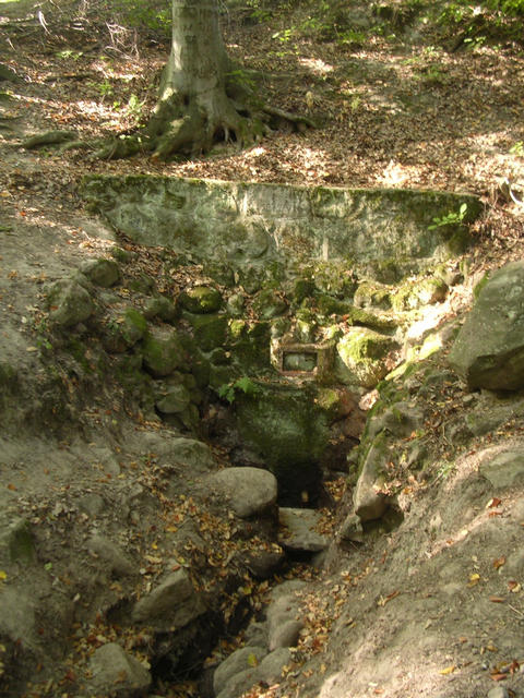 A képhez tartozó alt jellemző üres; 20241018_101325.jpg a fájlnév