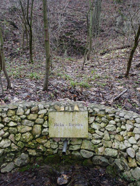 A képhez tartozó alt jellemző üres; 20241018_101325.jpg a fájlnév