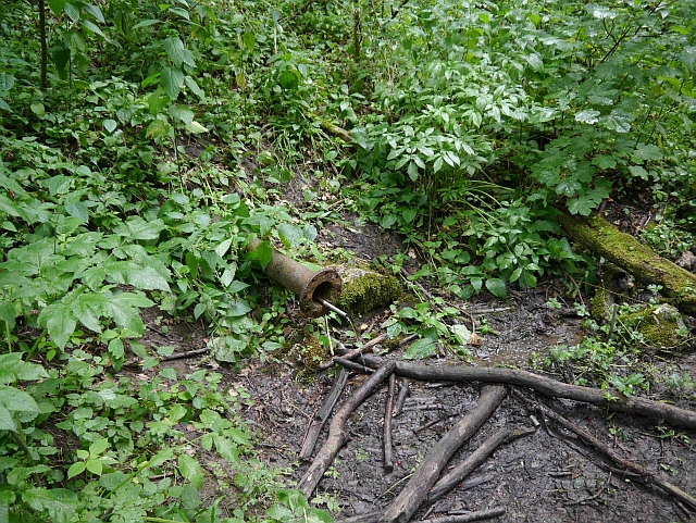 A képhez tartozó alt jellemző üres; 20241018_101325.jpg a fájlnév