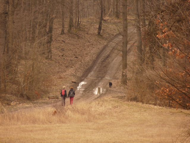 A képhez tartozó alt jellemző üres; 20241018_101325.jpg a fájlnév