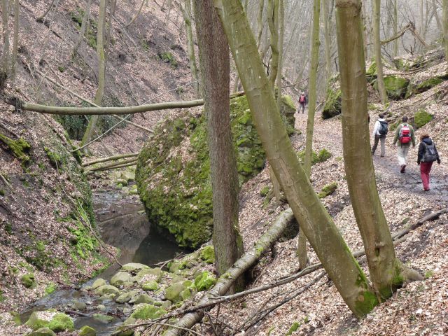 A képhez tartozó alt jellemző üres; 20241018_101325.jpg a fájlnév