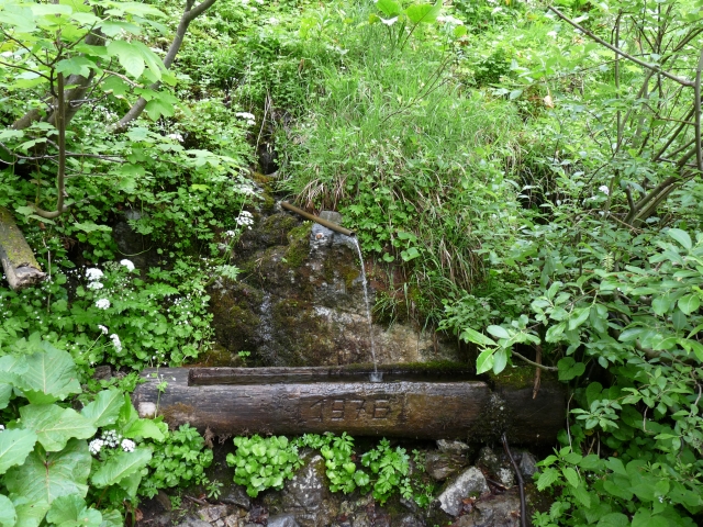 A képhez tartozó alt jellemző üres; 20241018_101325.jpg a fájlnév