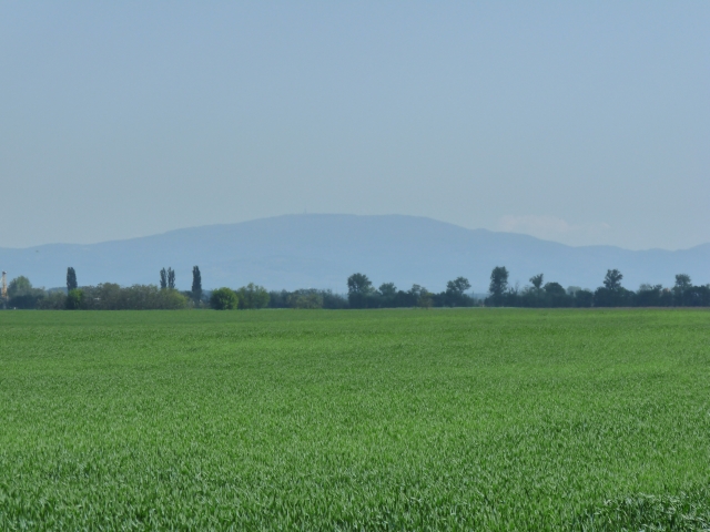 A képhez tartozó alt jellemző üres; 20241018_101325.jpg a fájlnév