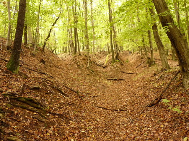 A képhez tartozó alt jellemző üres; 20241018_101325.jpg a fájlnév