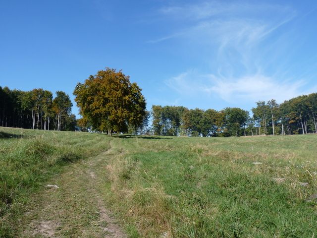 A képhez tartozó alt jellemző üres; 20241018_101325.jpg a fájlnév