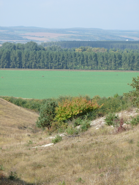 A képhez tartozó alt jellemző üres; 20241018_101325.jpg a fájlnév
