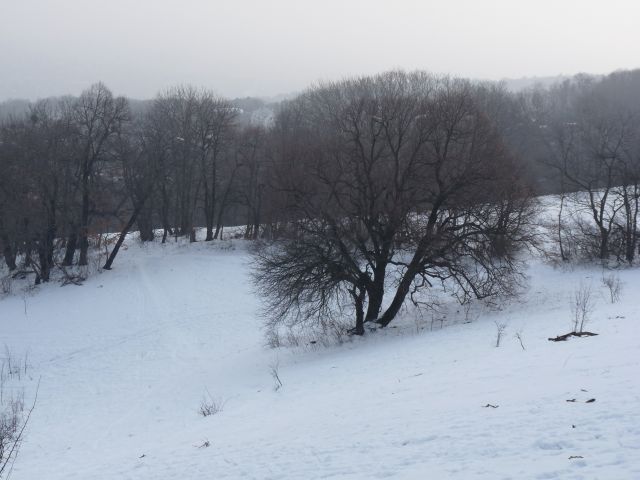 A képhez tartozó alt jellemző üres; 20241018_101325.jpg a fájlnév