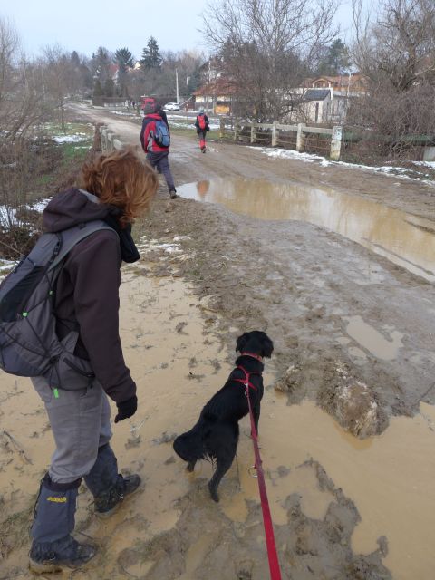 A képhez tartozó alt jellemző üres; 20241018_101325.jpg a fájlnév