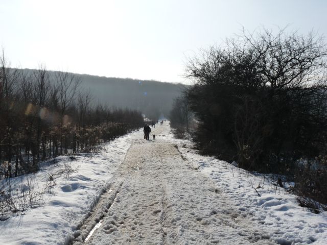 A képhez tartozó alt jellemző üres; 20241018_101325.jpg a fájlnév